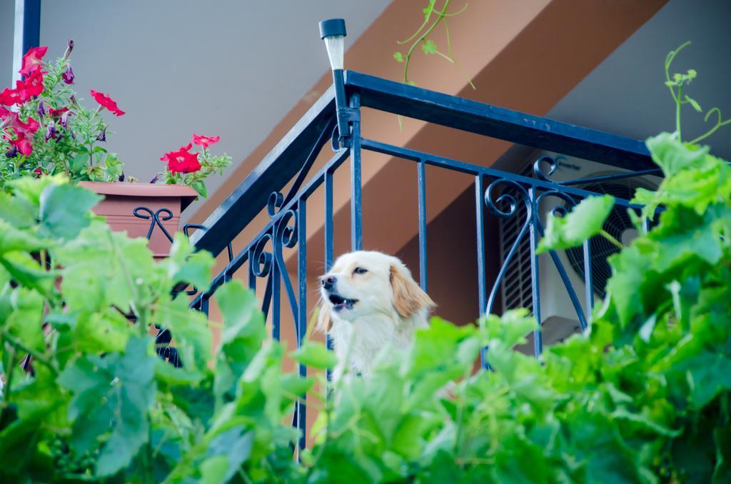 Nefeli Appartement Levídhion Buitenkant foto